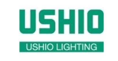 USH-102DH, Hg 100W  Ushio  5000274 Online now